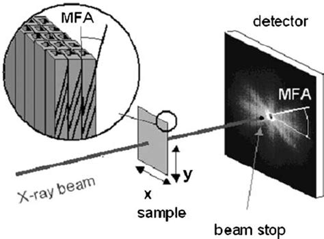 Measurement Of MFA With SAXS In The Case Of Rectangu Lar Cells