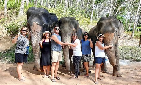 Elephant Sanctuary Village Phuket