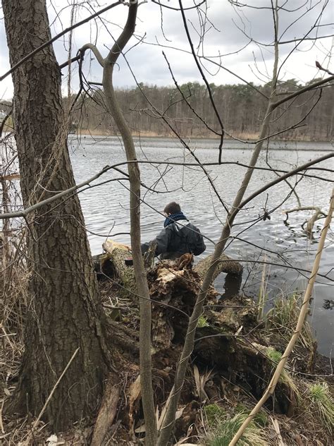 Möllensee SpreeWasser N Forschungsprojekt der TU Berlin