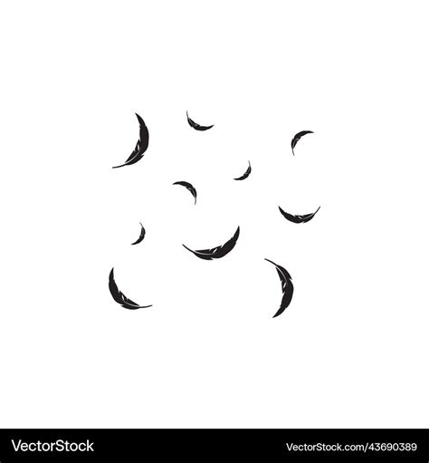 Feather background Royalty Free Vector Image - VectorStock