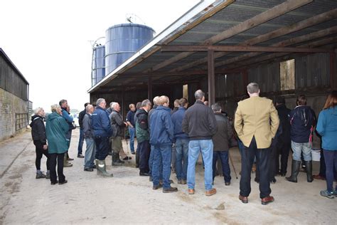 Sba Farm Walk Scott Hendersons Image Gallery National Beef