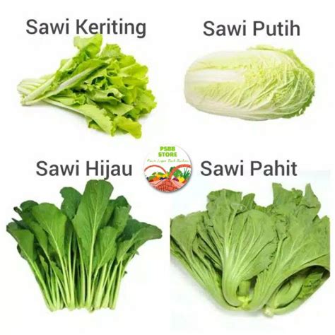 Jual Sayur Sawi Putih Sawi Hijau Sawi Pahit Caisim Sawi