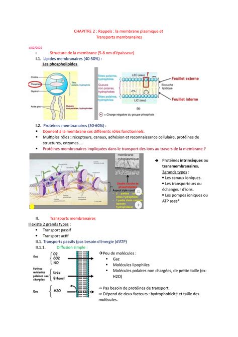 Chapitre 2 Membrane Plasmique CHAPITRE 2 Rappels La Membrane