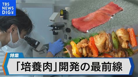 食の未来を救う「培養肉」とは 2040年には食肉消費の35％を占める？【bizスクエア】 Tbs News Dig