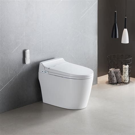 BCAN 1.28 Gallons GPF Elongated Comfort Height Floor Mounted Bidet ...