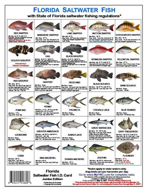 Saltwater Fish Id And Regulations Jumbo Card Florida Ebay