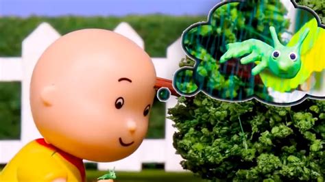 Caillou Y Los Insectos Caillou En Espa Ol Wildbrain Youtube