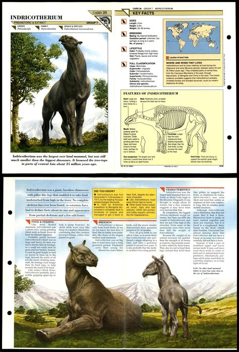 Indricotherium #28 Extinct Wildlife Fact File Fold-Out Card
