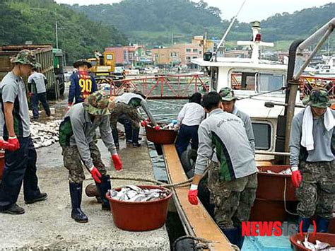 남해안 적조 피해 115억원1475만마리 폐사 모바일 Jtbc뉴스