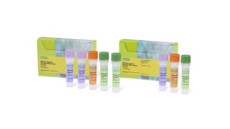 SEQuoia Express Stranded RNA Library Prep Kit Bio Rad