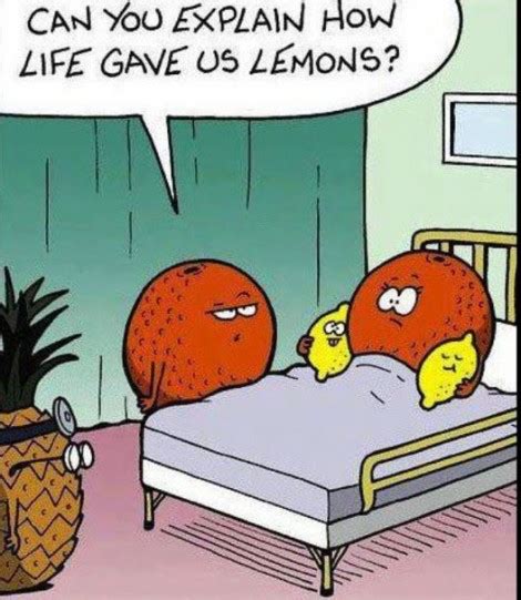 When Life Gives You Lemons Funny Quotes Quotesgram