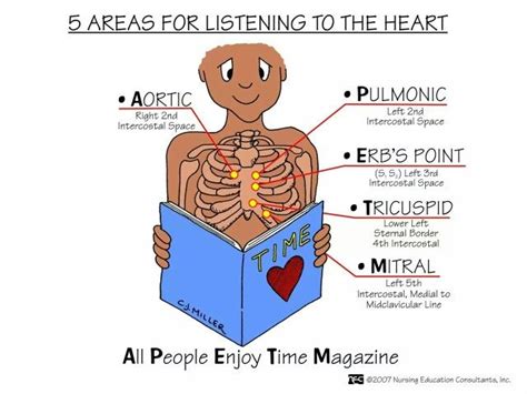 Nursing Health Assessment Mnemonics Tips Artofit