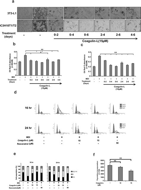 Inhibitory Effect Of Coagulin L On Mitotic Clonal Expansion During The