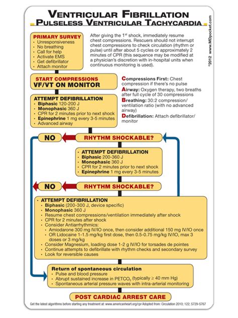 Acls Algorithms Vf And Vt