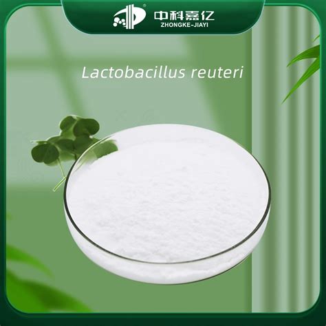 Intestinal Inflammation High Activity Lactobacillus Reuteri Probiotic