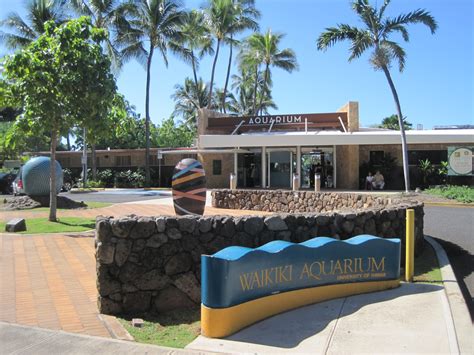 Waikiki Aquarium - Third oldest aquarium in the U.S. | Only In Hawaii