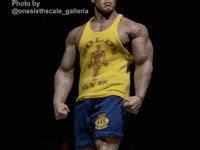 Phicen Ideas Male Doll Fashion Dolls Hot Toys