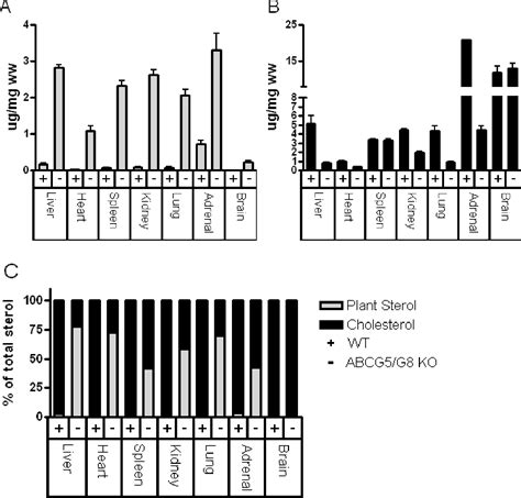 Figure From The Role Of Abcg G In Sterol Homeostasis Semantic Scholar