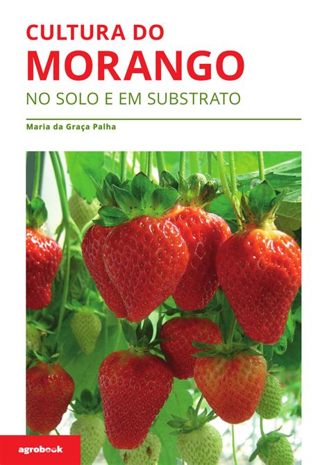 PDF Cultura Do Morango No Solo E Em Substrato