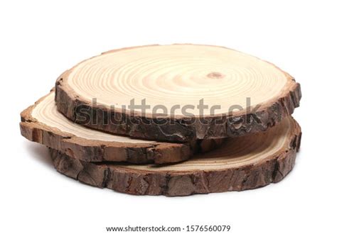 Cross Section Tree Trunks Stumps Isolated Stock Photo 1576560079