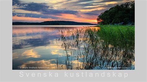 Fotokonst Natur Sk Rg Rd En Bakgrundsbild Fr N Svenska Kustlandskap