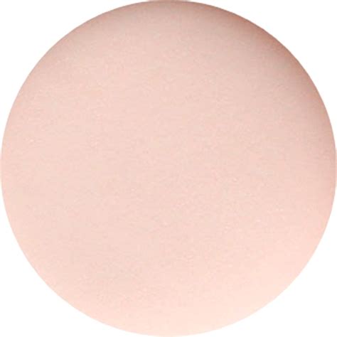 Acryl Powder Perfect Cover Nude Special Edition 3g ACPCN 3