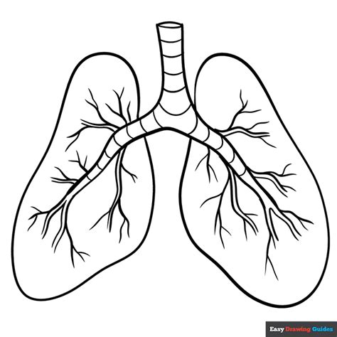 Lungs Coloring Page | Easy Drawing Guides