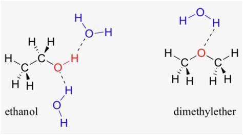 Water And Ethanol Hydrogen Bonding, HD Png Download - kindpng