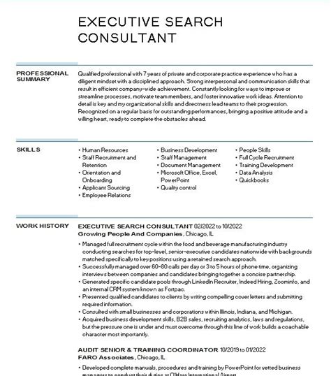 Executive Search Consultant Resume Example