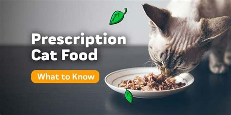 Prescription Cat Food – Innovet Pet