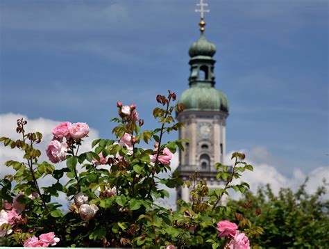 Rosenstadt Freising | Freisinger Fotos
