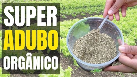 Adubo Organico Para Plantas