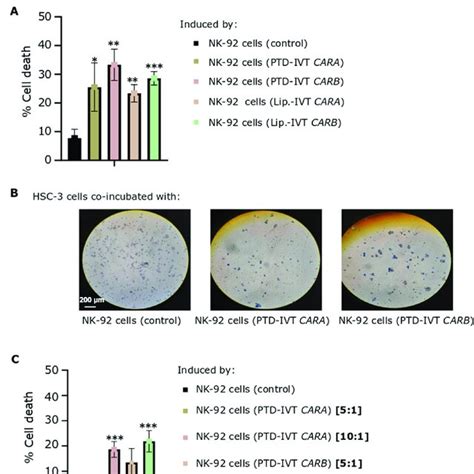 Cytotoxic Potential Of Ptd Ivt Mrna Engineered Car Nk 92 Cells Either