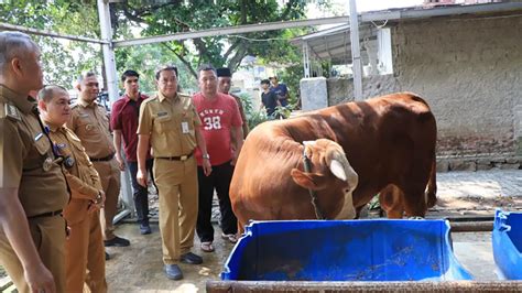 Pastikan Kesehatan Hewan Kurban Di Desa Caringin Layak