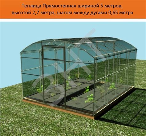 Теплица Прямостенная (шириной 5 метров, длиной 8 метров, высотой 2,7 ...