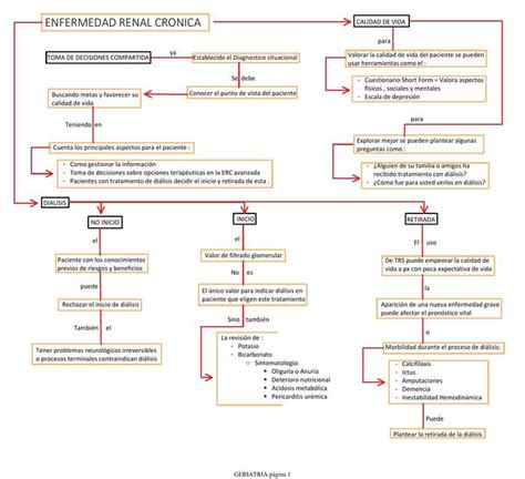 Enfermedad Renal Cr Nica Parte Organizador Visual Middlemedic Udocz