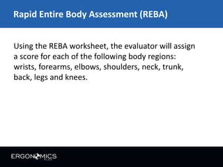 Reba Rapid Entire Body Assessment Ppt