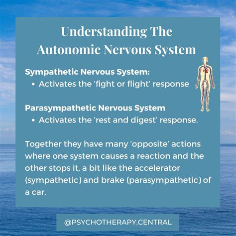 Understanding The Autonomic Nervous System