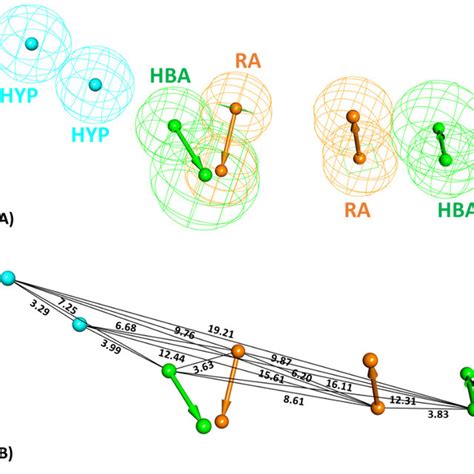 A The D Representation Of The Selected Pharmacophore Model Hypo