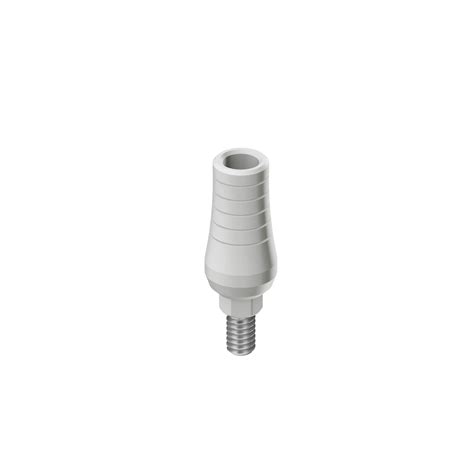 RS Engaging Plastic Standard Abutment Adin Implants