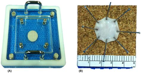 Two Tissue Fixation Methods A Fixation Device And B Manual