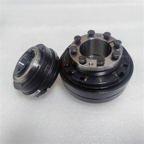 Zero Backgap Precision Ball Torque Limiter Zgs Zgs Lock Dimei