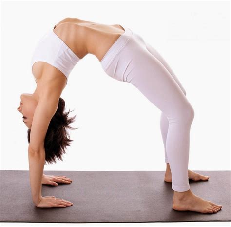 Fundamental Yoga Postures Exercises And Poses Health Solver