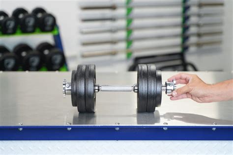 8 Best Adjustable Dumbbells in 2024: Top Picks for Your Home Gym