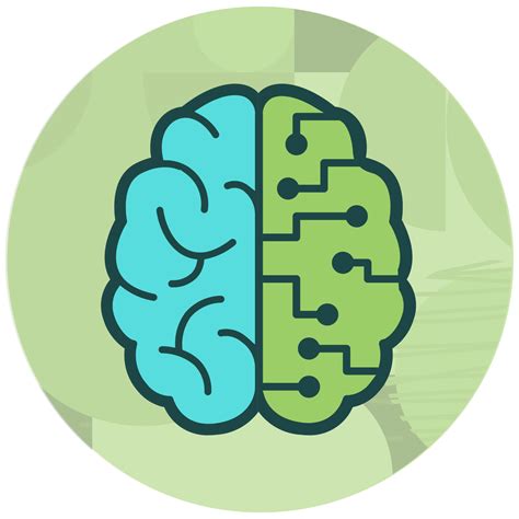 Differences with eCommerce Website Builders | Perfect Afternoon