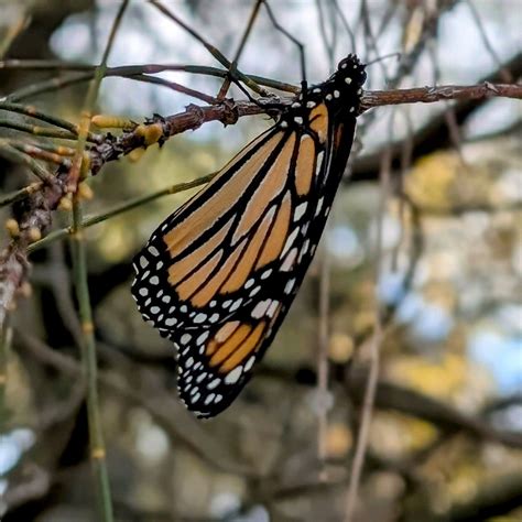 Stories of Newport Lakes