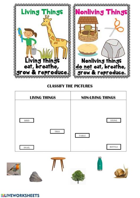 find  colour  living   living  worksheet worksheets
