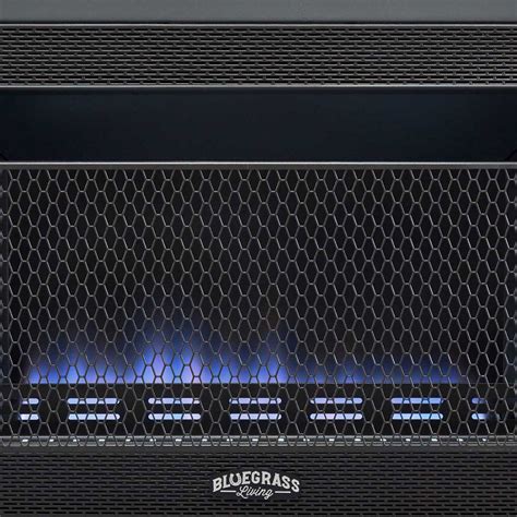 Bluegrass Living 30000btu Propane Gas Ventless Space Heater W Blowerandfeet Used Ebay