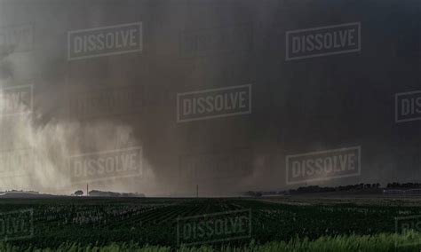 A violent, rain-wrapped wedge tornado rips up farmland in rural Kansas - Stock Photo - Dissolve