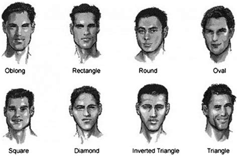 Different shapes of face (human anatomy, 2014). | Download Scientific ...